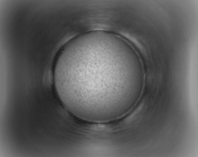 X0000089861317200707121729