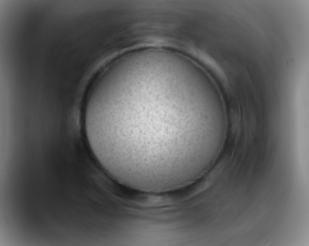 X0000089861318200707121729