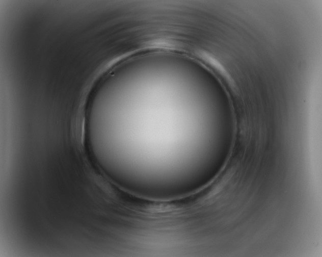 X0000089861323200707121729