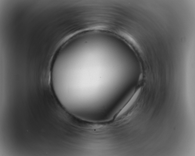 X0000089861324200707121729