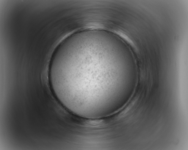 X0000089861325200707121729