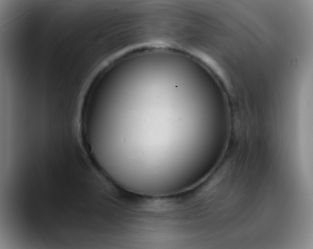 X0000089861327200707121729