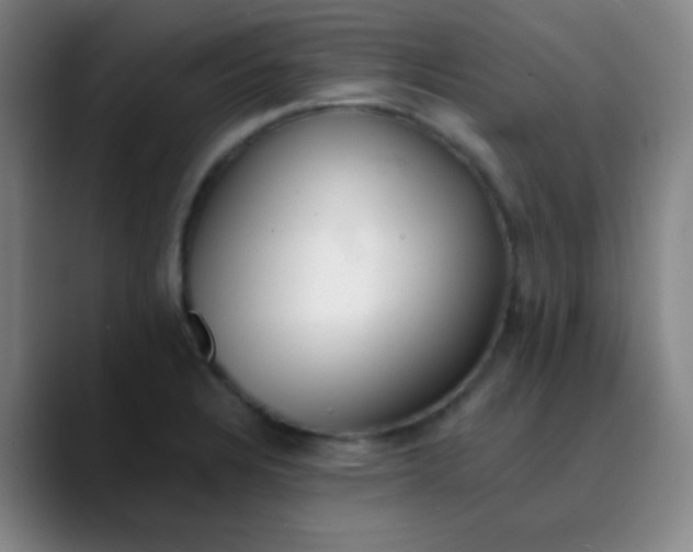 X0000089861328200707121729