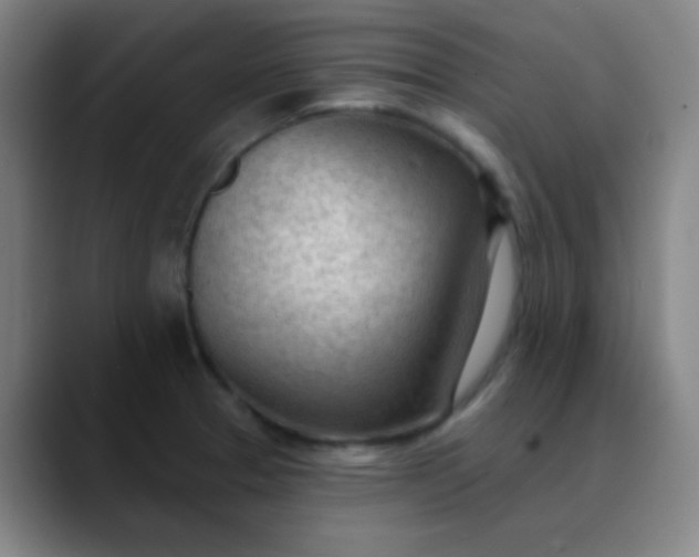 X0000089861329200707121729