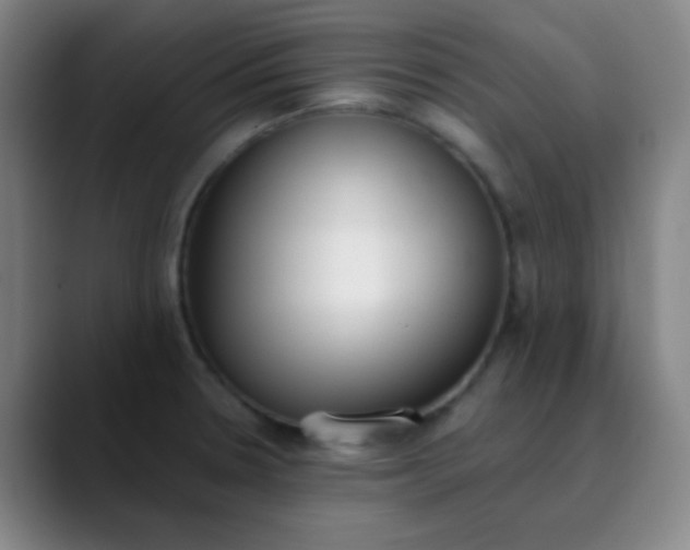 X0000089861330200707121729