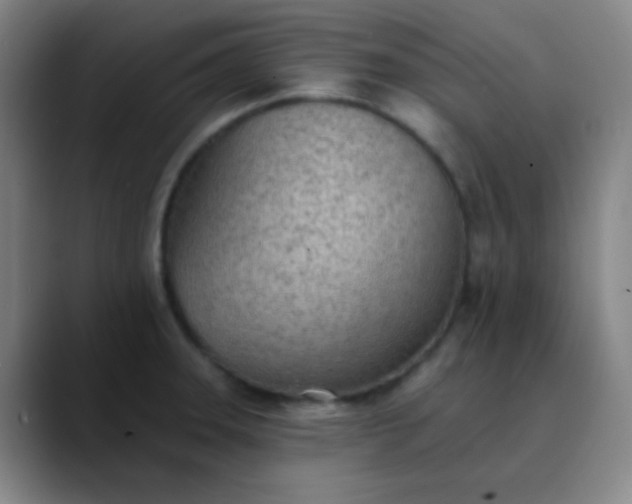 X0000089861331200707121729