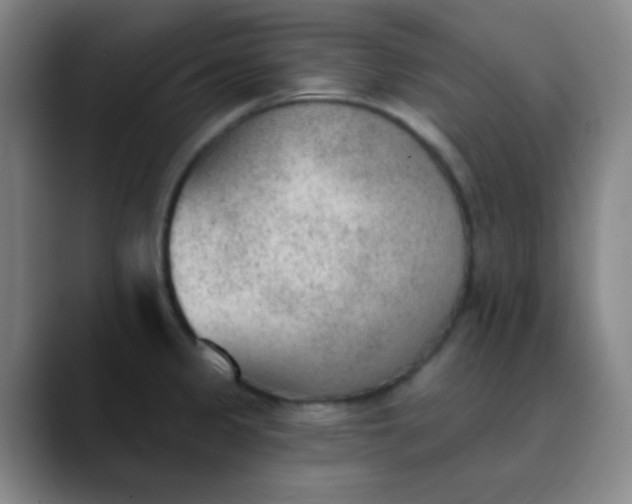 X0000089861333200707121729