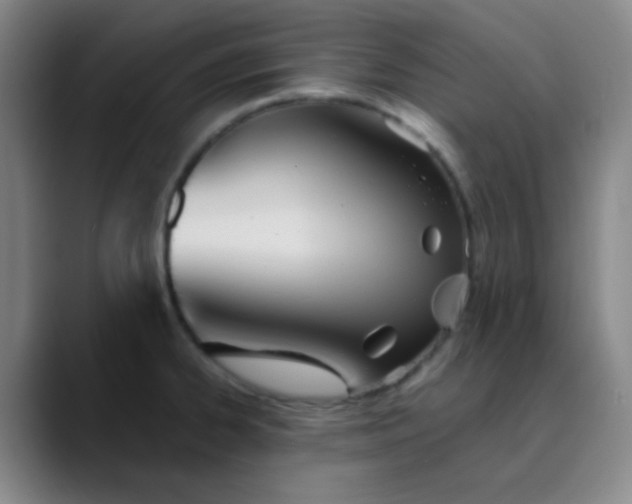 X0000089861334200707121729