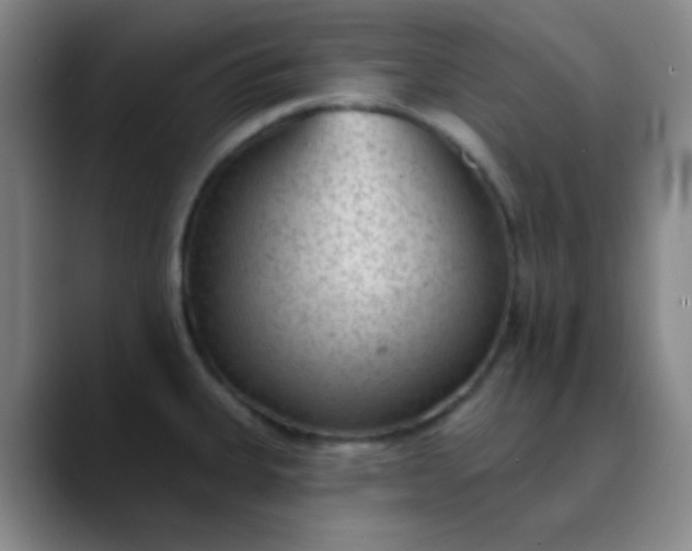 X0000089861335200707121729