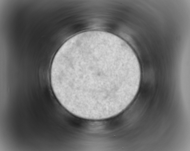 X0000089861338200707121729