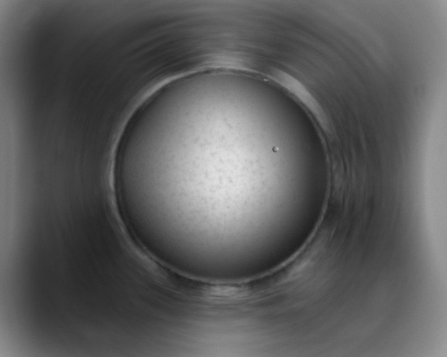 X0000089861339200707121729