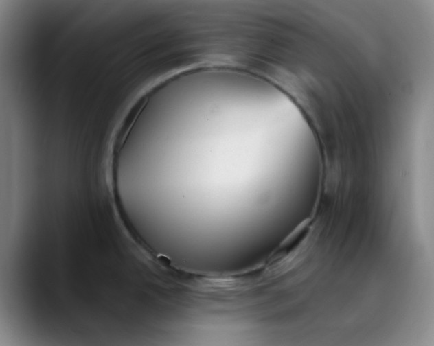 X0000089861342200707121729