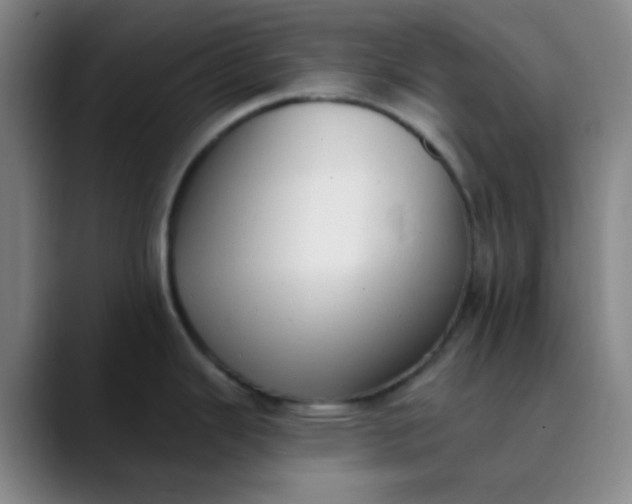 X0000089861343200707121729