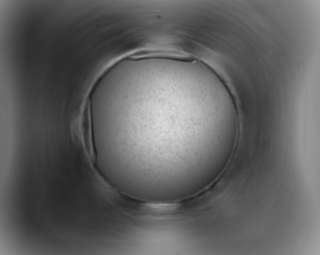 X0000089861344200707121729