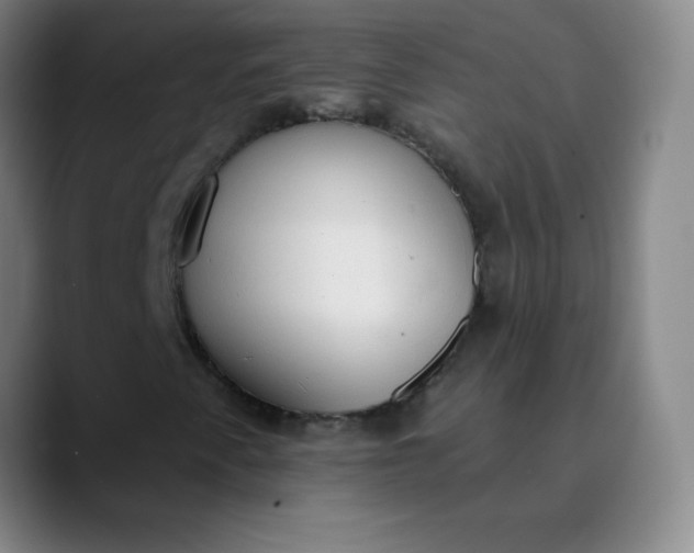 X0000089861345200707121729