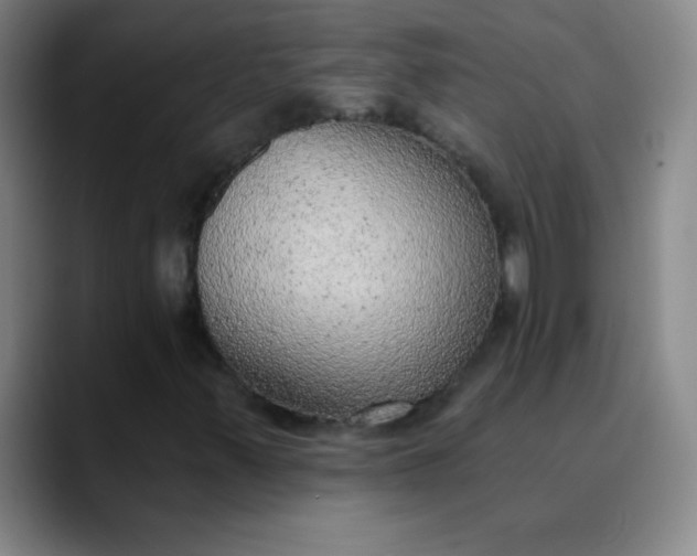 X0000089861347200707121729