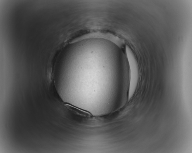 X0000089861348200707121728