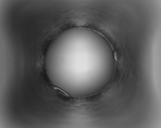 X0000089861349200707121728