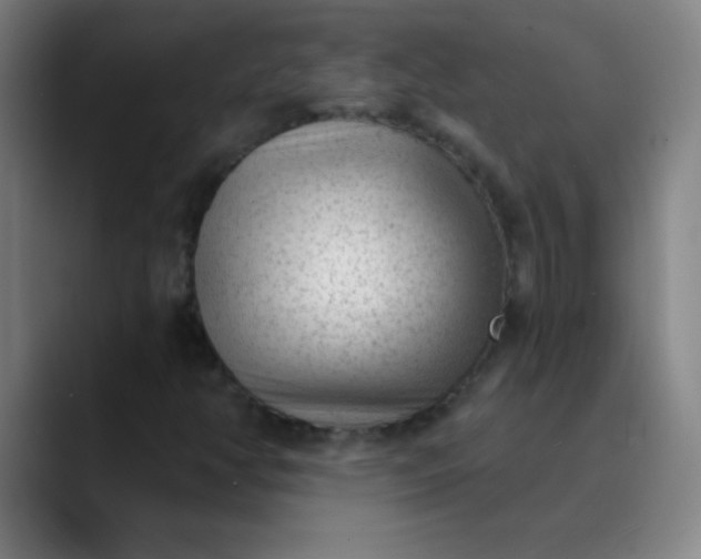 X0000089861350200707121728