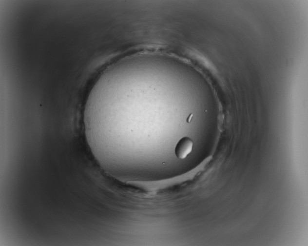 X0000089861352200707121728