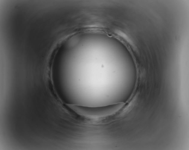 X0000089861357200707121728