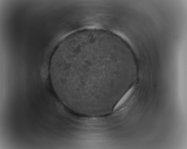 X0000089861359200707121728