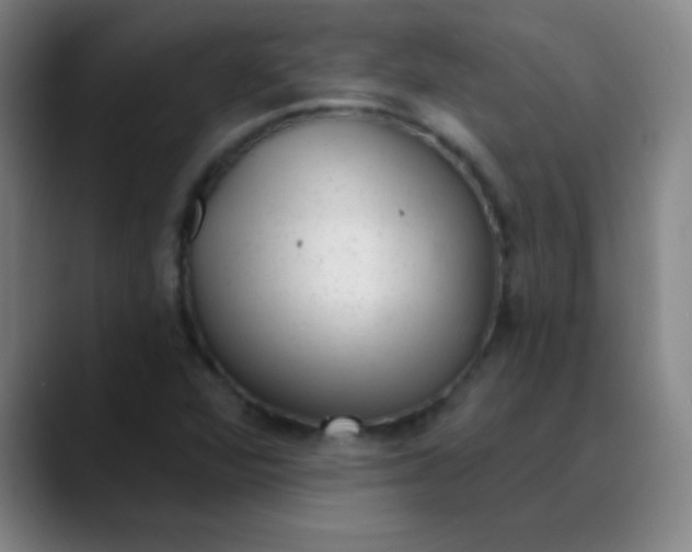 X0000089861360200707121728