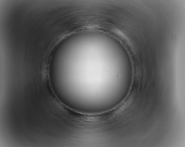 X0000089861361200707121728