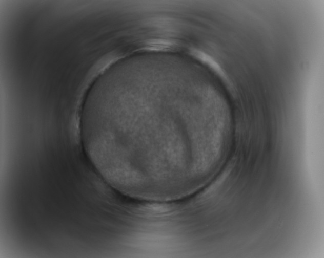 X0000089861362200707121728