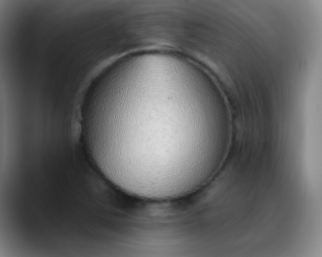 X0000089861363200707121728