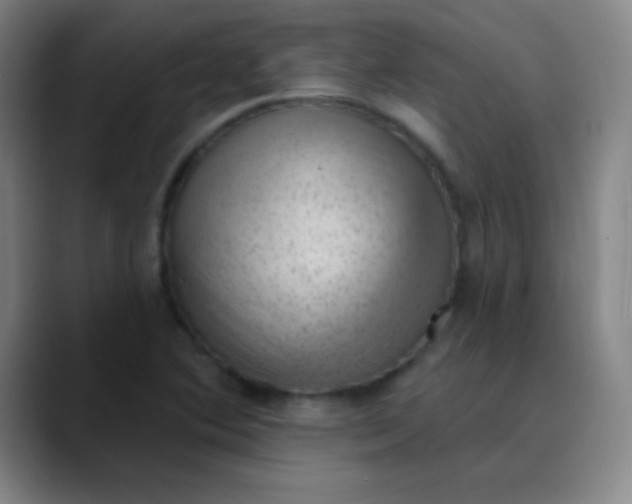 X0000089861364200707121728