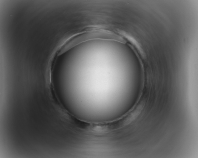 X0000089861365200707121728