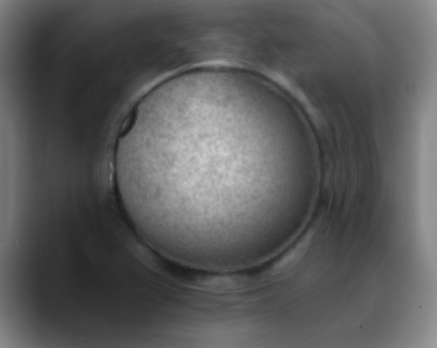 X0000089861367200707121728