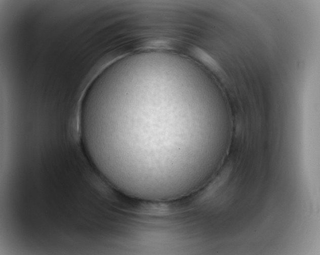 X0000089861370200707121728