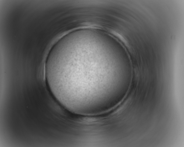 X0000089861371200707121728