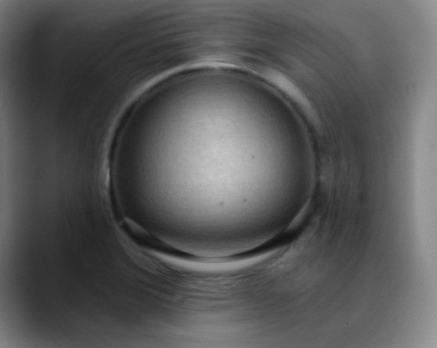 X0000089861372200707121728