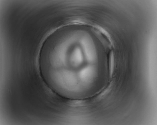 X0000089861373200707121728