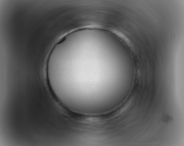 X0000089861375200707121728