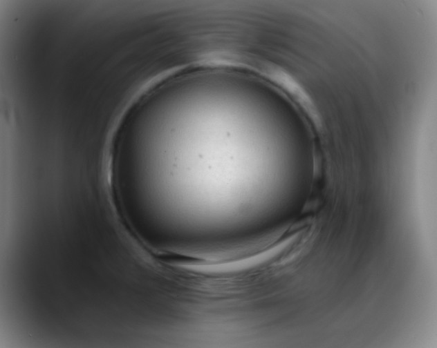 X0000089861376200707121728