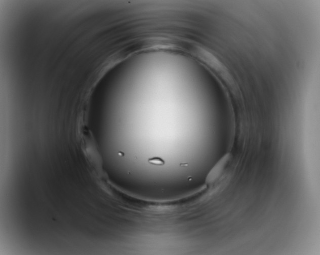 X0000089861377200707121728