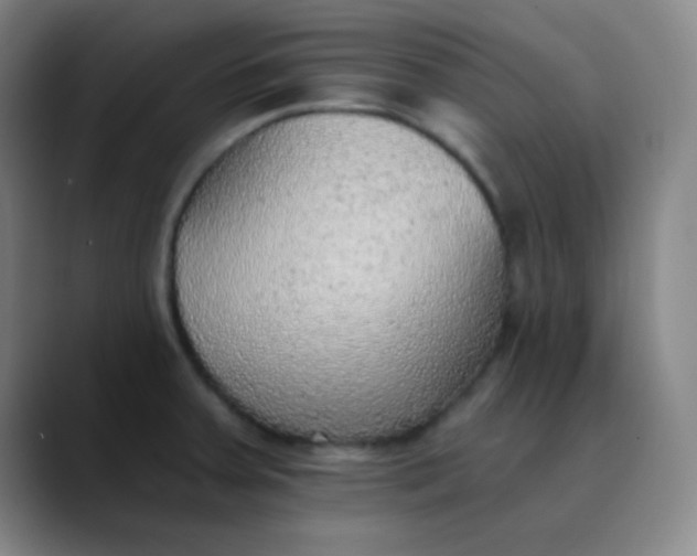 X0000089861379200707121728