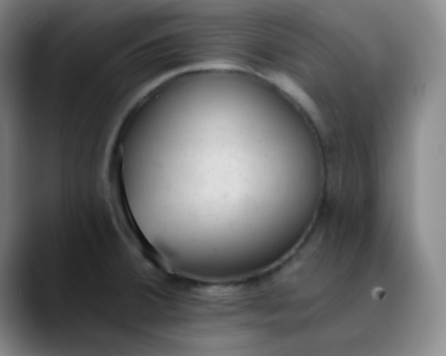 X0000089861380200707121728