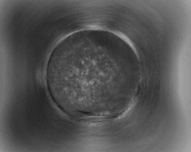 X0000089861381200707121728