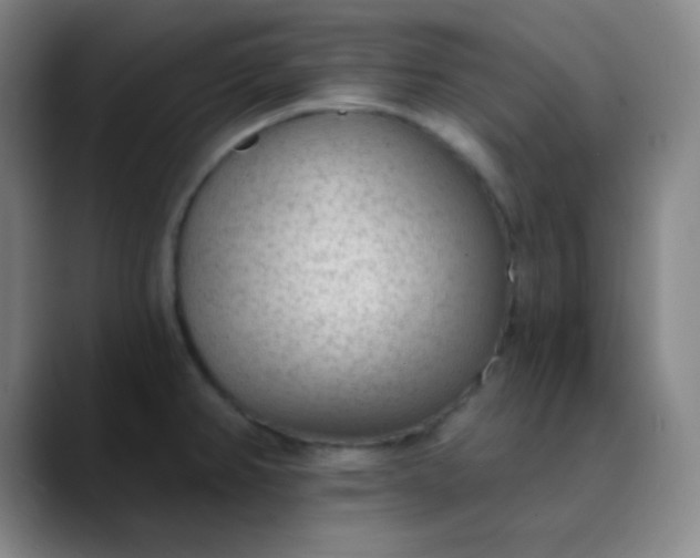 X0000089861382200707121728