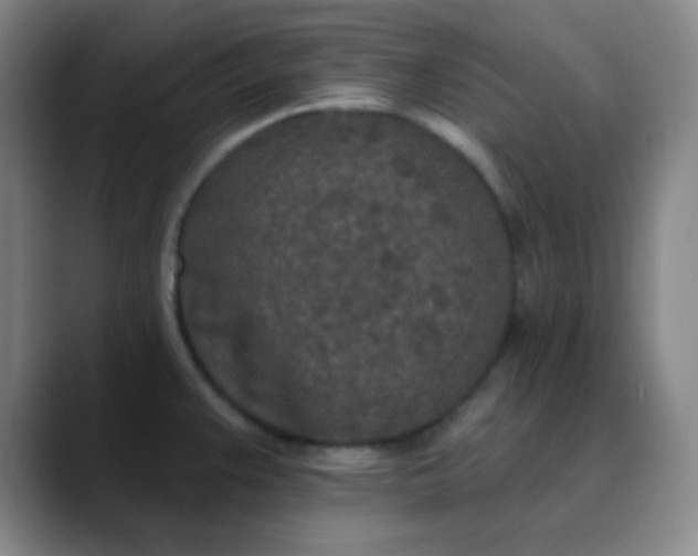 X0000089861383200707121728