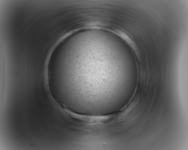 X0000089861384200707121728