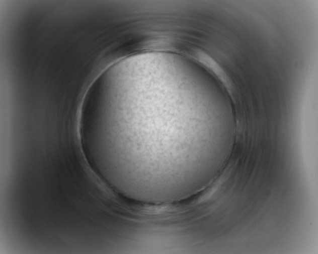 X0000089861386200707121728