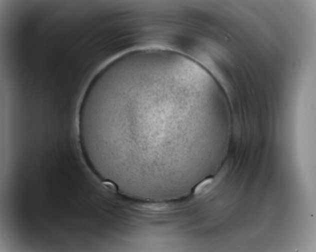 X0000089861388200707121728