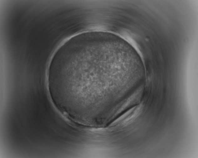 X0000089861389200707121728