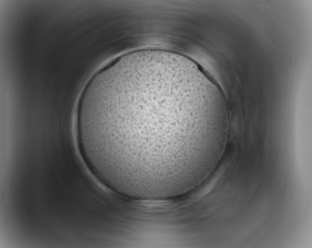 X0000089861391200707121728